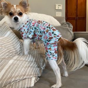 Fall Print Dog Pajamas